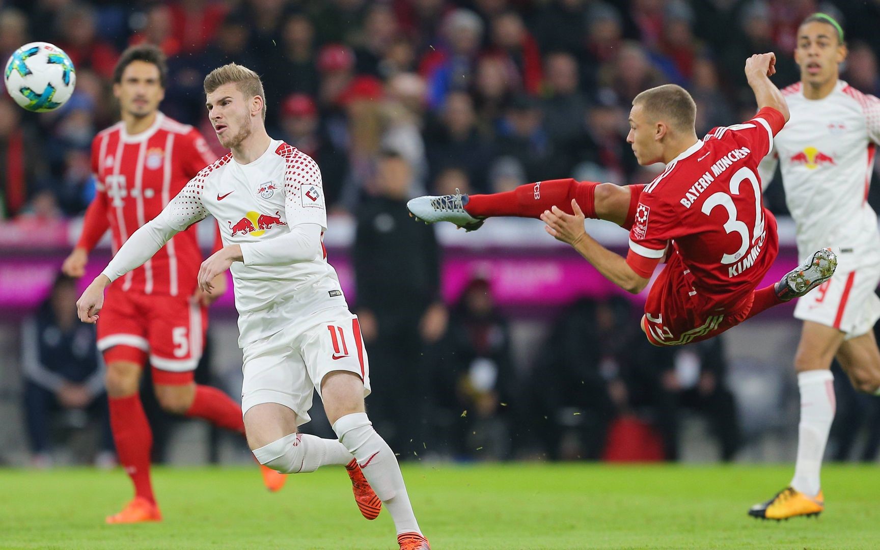 南非路易波士茶研磨粉