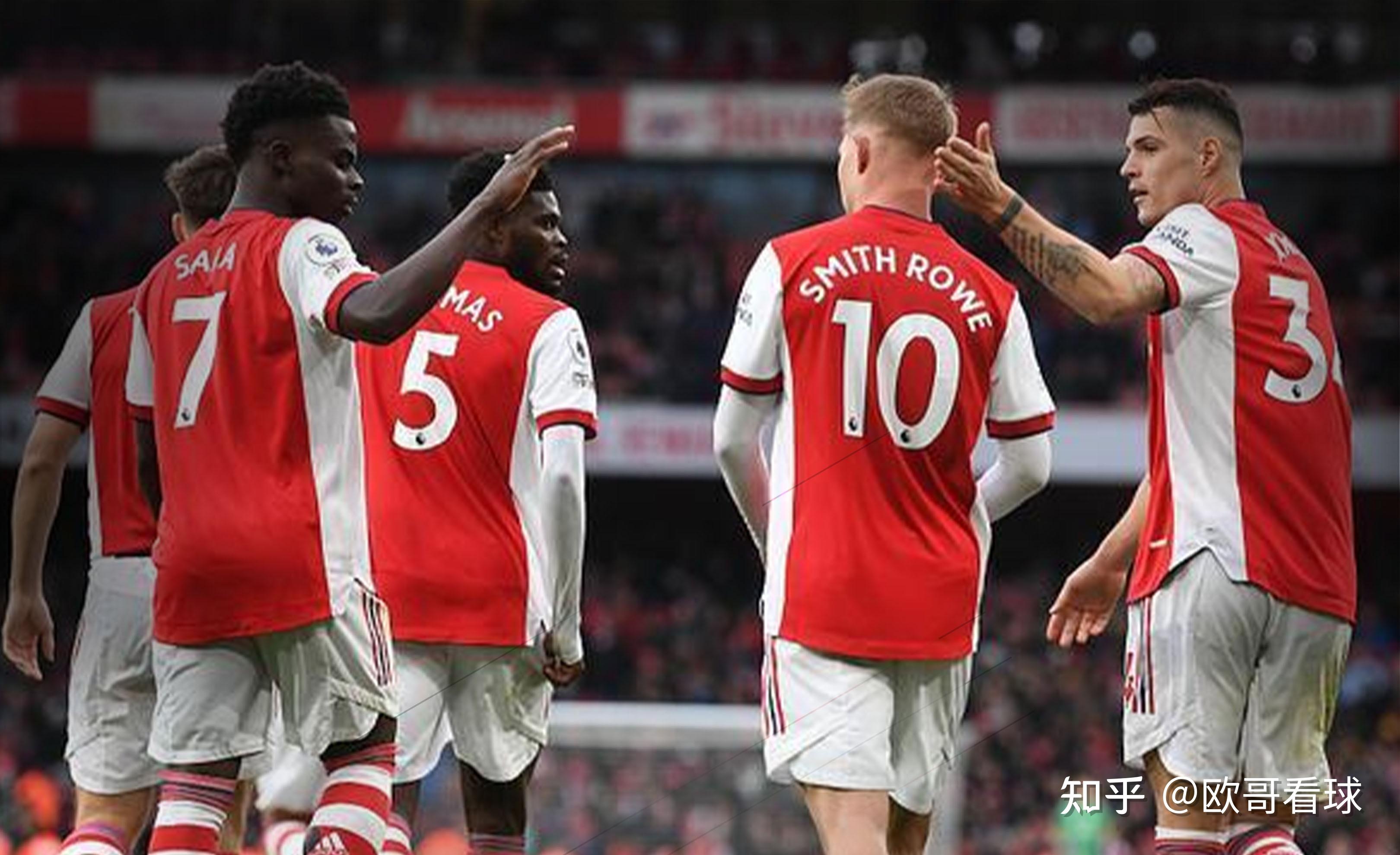 南非路易波士冰淇淋粉